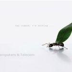 Lares Notebook Cover. working ant tot 15"