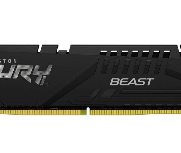 DWC-Select 8gb DDR5/5600