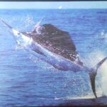 Muismat Swordfish (uitsluitend geschikt voor lasermuizen)