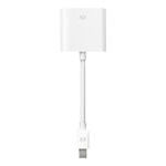 Apple Mini DisplayPort to DVI Adapter