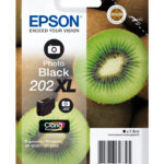 Epson 202XL photo black (tot 800 pagina's met 5% bedekt)