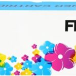 FLWR TN-1050 black  (tot 1.000 pagina's met 5% bedrukt)