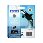 Epson T7607 Light Black (25.9ML)