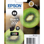 Epson 202 photo black (tot 400 pagina's met 5% bedrukt)